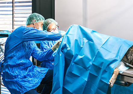 Surgical Drapes